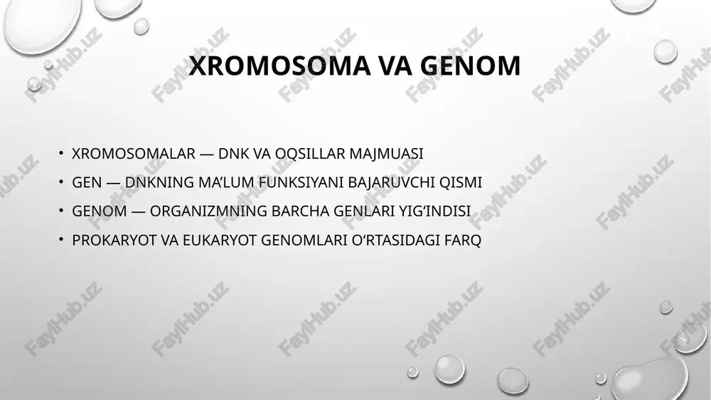 irsiyatning molekulyar asoslari - Page 4