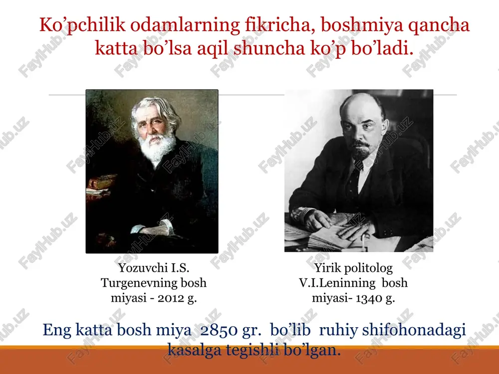 o'tkazuvchanlik. ovqat hazm qilish, nafas olish, yurak-qon tomir faoliyati, chaynash, yutish, shuningdek yo'tal, hapşırma, qayt qilish kabi himoya reflekslarini tartibga soladi. varolev ko’prigi ko'prik - bu nerv tolalari joylashgan joy bo'lib, uning bo'ylab nerv impulslari miya yarim sharlaiga yoki orqaga, orqa miyasidan pastga va undan yuqori tomonga ko'tariladi. bundan tashqari, mimika, chaynash funktsiyalari bilan bog'liq markazlar joylashadi. miyacha. miyacha ikkita yarim sharlardan iborat bo’lib chuvalchang shaklida birikkan bo’ladi. miyachaning kulrang moddasi uning po’stlog’i shaklida ustki yuza qismida yotadi. bu po’stloqning qalinligi 1-2,5 mm. miyachaning yuzasi ko’p sonli egatlar bilan g’adir-budur uyma-chuqurliklar ko’rinishida bo’ladi. miyacha po’stlog’ining ostida oq modda joylashgan va uning ichida esa kulrang moddaning to’rtta yadrosi joylashadi. oq moddaning tolalari, miyachaning o’zini turli qismlarini orasidagi bog’lanishlarni ta’min etadi, hamda pastki, o’rtangi va yuqorigi miyacha oyoqchalarini hosil qiladi va miyachani miyaning boshqa bo’limlari bilan bog’laydi. o'rta miya o'rta miya - ko'rish va eshitish impulslari ta'sirida paydo bo'ladigan har xil harakatlarning …
