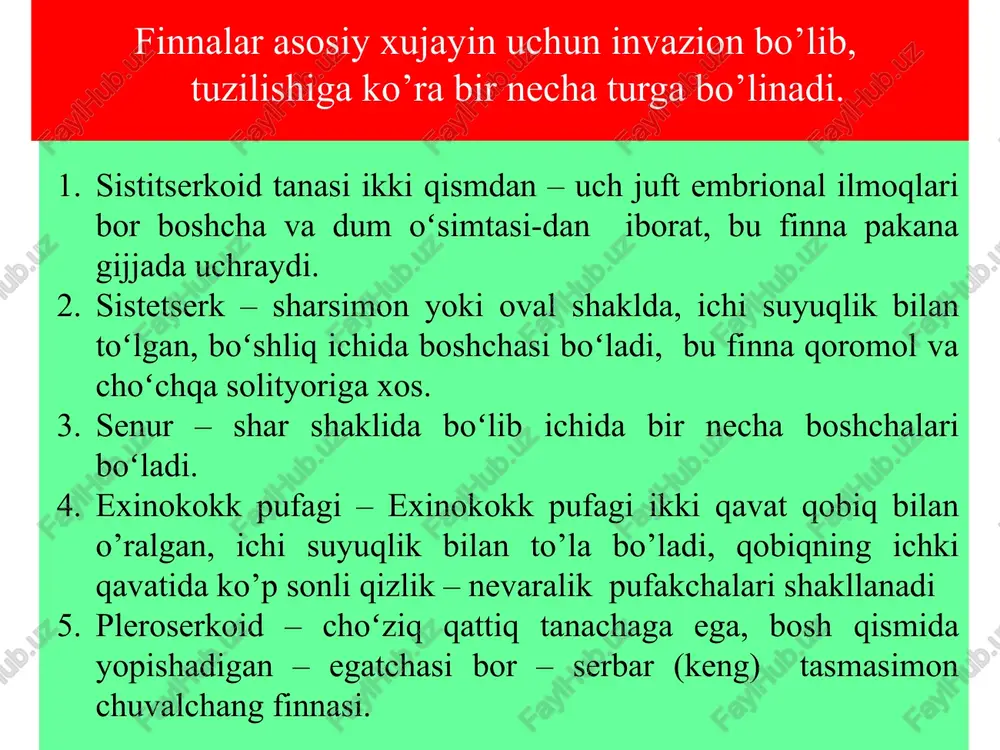 n tashqari ilmoqchalar joylashgan (shuning uchun ham qurollangan soliter deyiladi). germafrodit bo‘g‘imlarida tuxumdon uch bo‘lakchadan iborat. etuk bo‘g‘imlarda shoxchalari soni 12 dan oshmaydi. hayot sikli. asosiy xo‘jayini odam, oraliq xo‘jainlar cho‘chqalar, ba’zan odam ham bo‘lishi mumkin. cho‘chqa soliteri (taenia solium) invaziya manbai - kasal oddamlardir. tashqi muhitga axlat orqali tuxumlar yoki 5-6 tadan bo‘g‘imlar, holida ajratiladi. tuxumlar cho‘chqa uchun invazion bosqich hisoblanadi. oraliq xo‘jayin organizmida onkosfera va finnalar rivojlanadi. odamlarda xom yoki yaxshi pishirilmagan cho‘chqa go‘shti orqali o‘tadi. odamga cho‘chqa soliteri tuxumi ifloslangan ovqat orqali yuqishi ham mumkin. bu holatda odam parazit uchun oraliq xo‘jayin hisoblanadi. odam qusganida yoki ichakning teskari peristaltikasida parazit tuxumlari bo‘g‘imlar bilan oshqozonga tushadi va undan onkosfera chiqib, qon tomirlari orqali jigar, miya, o‘pka va boshqa organlarga tarqalib, o‘sha joylarda finnaga aylanadi.bu kasallik sistiserkoz deyiladi. sistiserkoz – ko‘pincha o‘limga olib keluvchi juda og‘ir kasallikdir. cho’chqa solityorini skoleksi cho'chqa solityori skoleksi. buyin qismi. yosh proglatidalari. cho’chqa solityorining …