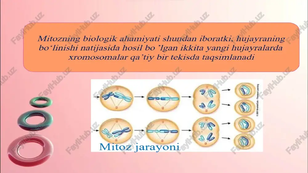 davolash ishi yo’nalishi - Page 4