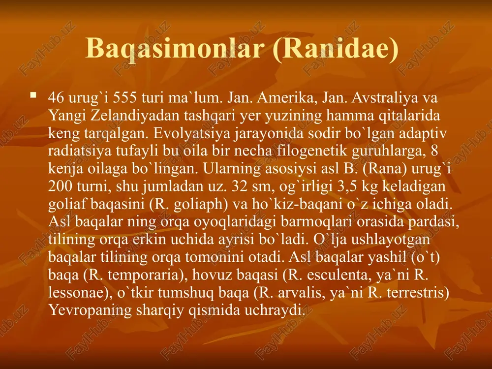 baqasimonlar (ranidae) - Page 4