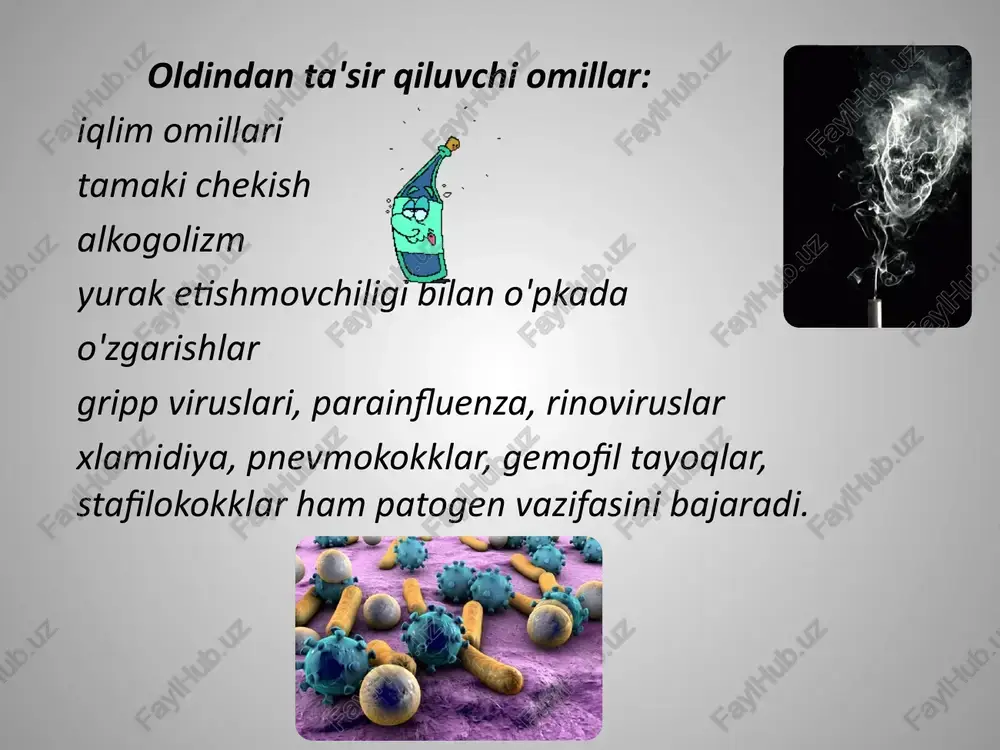 sa, antiviral preparatni qo'llash mumkin: - remantadin (grippning birinchi 24-78 soatlarida) - interferon yoki arbidol, ergoferon, viferon va boshqalar. 7. simptomatik terapiya samarasi bo'lmaganda, yiringli balg'amning ko'rinishi, mikrob spektrini hisobga olgan holda antibakterial preparatlar buyuriladi. 1.aminopenitsillinlar: - amoksitsillin 0,5 g dan kuniga 3 marta - 7-10 kun 2. makrolidlar: - eritromitsin - azitromitsin (sumamed 0,5) g kuniga bir marta -3 kun - rulid 150 mg - kuniga 2 marta 3. ikkinchi avlod og'iz sefalosporinlari 4. tetratsiklin-doksisiklin 5. obstruktiv bronxit bilan: - simpatomimetika (salbutamol, berotek) antixolinergiklar (atrovent) teofillinlar (aminofillin, teopek) ushbu bemorlarda ekspektoranlarni (mukoregulyatorlarni) qo'llash bo'yicha ko'rsatmalar ham mavjud: - ambroksol - atsetil sestein profilaktika o'tkir bronxitning profilaktikasi o'tkir respirator virusli infektsiyalarning oldini olish va samarali davolashdan iborat. bronxial shilliq qavatning turli tirnash xususiyati beruvchi omillarini (changlanish, gazning ifloslanishi), chekish, alkogolizmga qarshi kurashni bartaraf etish muhim ahamiyatga ega. bizga infektsiya o'choqlarini o'z vaqtida sanitariya qilish kerak (birinchi navbatda nazofarenkda), burunning nafas …