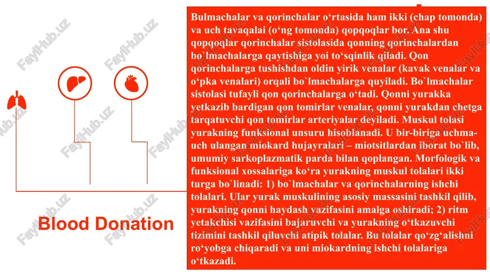 larni yopadi. shuningdek juda qisqa vaqt ichida ham atrio-ventrikulyar, ham yarim oysimon qopqoqlar yopiq turadi. keyin qorinchalar bo‘shashib, hajmi ortadi. ulardagi bosim qonga toigan bo`lmachalardagi bosimdan pastroq nuqtaga tushadi. shunda atrioventrikulyar qopqoqlar ochilib, qorinchalar qonga toia boshlaydi. yurak qorinchalarining diastolasi boshlanadi. qorinchalar diastolasi 0,47 s davom etadi. u ham bir necha davr va bosqichlarga bo`linadi. arteriya va vena bosimlari. arteriya vena pulsi. arterial qon bosimi sistolik, diastolik, puls va o'rtacha bosim. arteriyalarninf asosiy vazifasi qonning kapillyarlardagi uzluksiz harakatini ta'minlash uchun doimiy bosimni hosil qilishdan iborat. arteriyalardagi bosim (p) yurakning qisqarishi natijasida arteriyalarga chiqadigan qon hajmiga (q) va mayda arteriyalar, arteriolalar, hamda kapillyarlarda qon oqimiga bbo'lgan qarshilikka ® bog'liq. bu bog'lanish oddiy p = q x r tenglarna bilan ifodalanadi. arteriyalardagi qon bosimi doim bir xilda turmay, o'rtacha bir miqdordan ko'tarilibtushib turadi. qonli usulda qayd qilingan arterial bosim egri chizig'ida bu o'zgarishlar uch xil to'lqin shaklida kuzatiladi. birinchi tartibdagi to'lqinlar (puls …