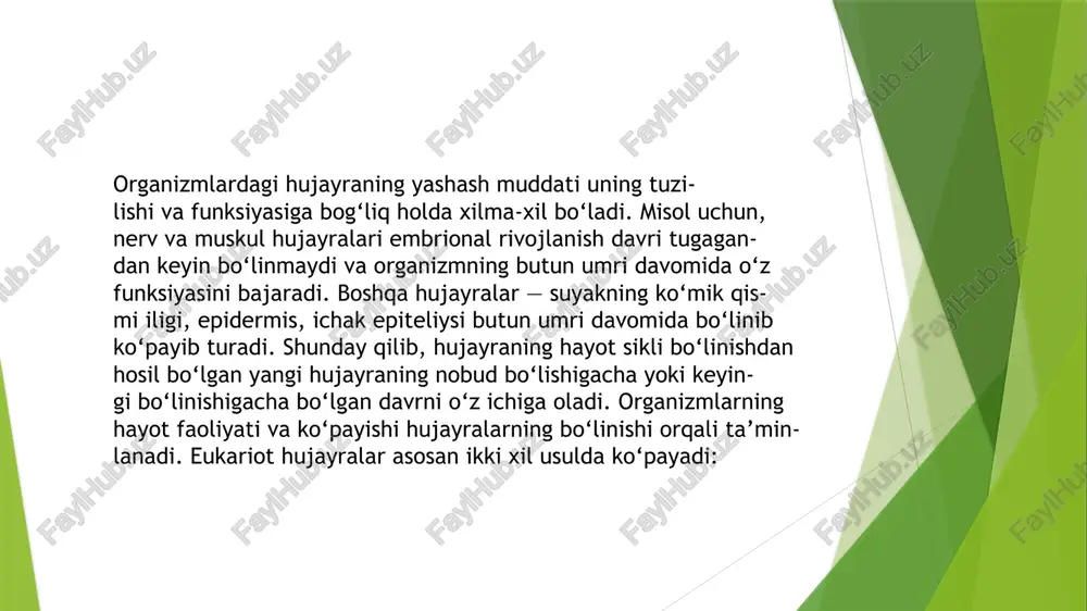 eyiladi. keyinchalik bunday xromosomalar o‘rtasida o‘xshash qismlari, genlari bilan almashinadi. bu hodisa esa krossingover deb ataladi. profaza oxirida gomologik xromo- somalar bir-biridan ajrala boshlaydi. bu jarayonlar bilan bir vaqtda yadro qobig‘i parchalanib, yadrochalar yo‘qolib ketadi. metafaza i da – xromosomalarning spirallanish darajasi eng yuqori ko‘rsatkichga ega bo‘ladi. kon’yugatsiyalashgan xromo- somalar juft-juft holatda ekvator tekisligi bo‘ylab joylashadi. sen- tromeraga bo‘linish urchug‘i birikadi. anafaza i da – gomologik xromosomalarning yelkalari bir-biri- dan aniq ajraladi. lekin xromatidlarga ajralmagan holda qutblarga tomon harakatlana boshlaydi. telofaza i da – xromosomalar soni ikki hissa kamaygan hujayralar hosil bo‘ladi. qisqa vaqt ichida yadro qobig‘i hosil bo‘ladi. birinchi meyoz bilan ikkinchi meyoz o‘rtasidagi qisqa vaqt in-terkinez deyiladi. interkinez davrida dnk reduplikatsiyalanmaydi. birinchi bo‘linish natijasida hosil bo‘lgan hujayralar bir-biridan ota va ona xromosomalar genlar yig‘indisi jihatidan farq qiladi. agar meyoz birinchi bo‘linishda xromosomalardagi krossin- governi hisobga olinsa, har bir hosil bo‘lgan jinsiy hujayra genetik jihatdan yagona bo‘lib, o‘ziga xos …