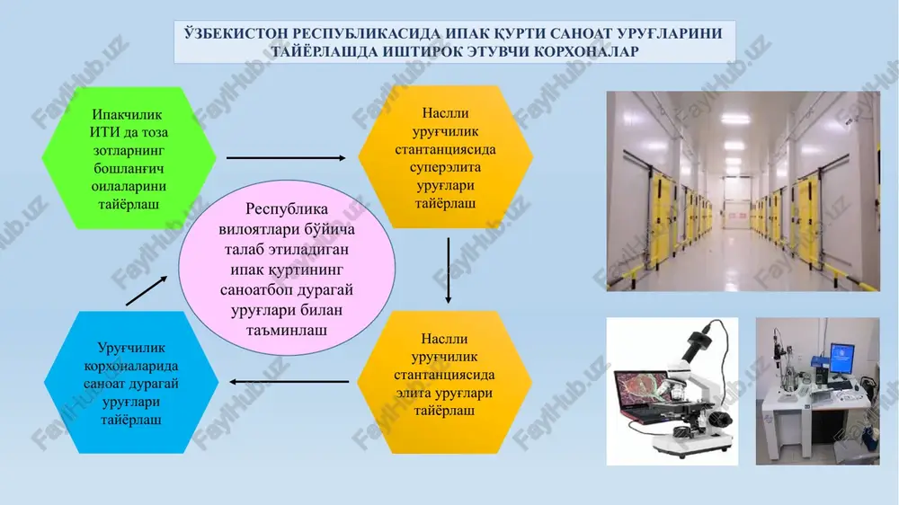 ipakchilik ilmiy-tadqiqot instituti - Page 4
