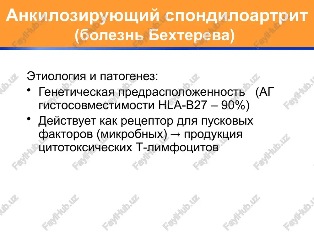 modifitsiruyushaya terapiya : 1.npvp - diklofenak100-150mg/sut, nimesil 200 mg/sut). 2.kortikosteroidi vnutrisustavno - posle stixaniya intensivnosti vospalitelnogo protsessa. modifitsiruyushee bolezn lechenie: 1.antibakterialnaya terapiya (doksitsiklin,makrolidi) - do 4 nedel 2.sulfasalazin - pri opasnosti xronizatsii protsessa. deformiruyushiy osteoartroz chto takoe osteoartroz? zabolevanie, pri kotorom razlichnie usloviya privodyat k poyavleniyu simptomov i priznakov zabolevaniya s narusheniem tselostnosti xryasha, a takje izmeneniyam kostey v okolosustavnom prostranstve. amerikanskaya assotsiatsiya revmatologov, 1998 g. rasprostranennost oa sredi vrachey terapevti- cheskix i xirurgicheskix spetsialnostey: koksartroz – 31,5% gonartroz – 42,5% periferichekiy variant oa – 34,5% osteoartroz u vrachey. vozrast. nasledstvennaya predraspolojennost. mexanicheskie faktori. professionalnaya deyatelnost. sosudistie narusheniya. faktori riska razvitiya osteoartroza. xondrotsiti i vnekletochniy matriks v norme. kollagenovaya «reshetka» aggrekani = proteoglikani + xondroitin sulfat + gialuronovaya kislota 41 xondrotsiti i vnekletochniy matriks pri oa. 42 sozidanie razrushenie chto proisxodit s xryashom pri oa? anabolizm tfr, mmp katabolizm mediatori vospaleniya 43 osteoartroz.stadii. esli u vashego patsienta osteoartroz... boli v …