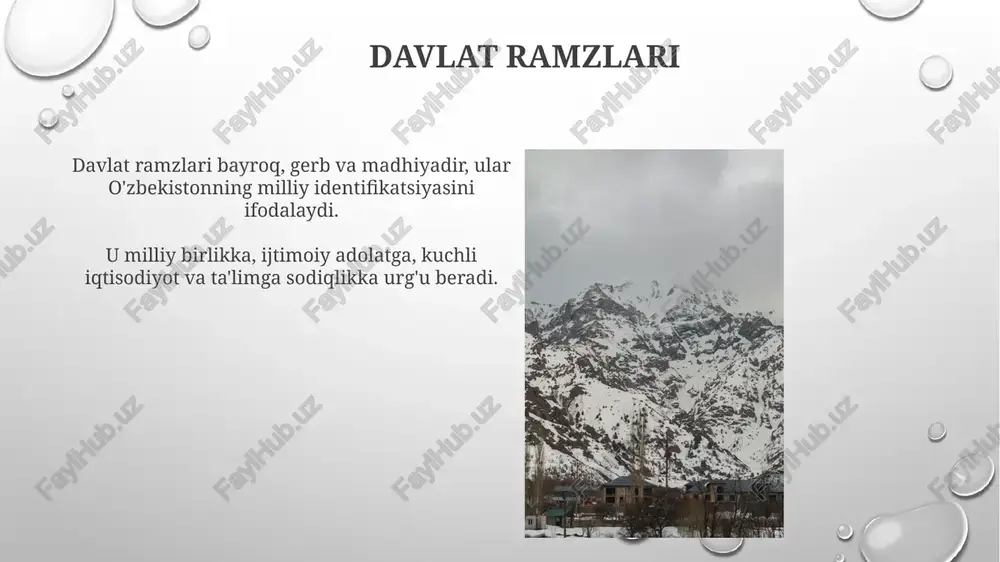 oʻzbekiston respublikasi konstitutsiyasining asosiy prinsplari - Page 4