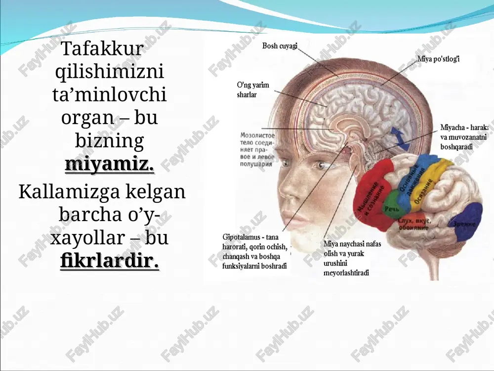 tellektini o`lchash shkalasidir. bu metodikaga 1974 yilda so`nggi marta 5 yoshdan 15 yoshgacha bo`lgan bolalarni tekshirish uchun o`zgartirishlar kiritildi. maktab aqliy taraqqiyoti testi metodikasi m.k.akimova, e.m.borisova, v.t.kozlova, g.p.loginovalar tomonidan ishlab chiqilgan bo`lib, o`smirlarning intellektual taraqqiyoti darajasini aniqlashga mo`ljallangan. hikoyada tushurib qoldirilgan so`zlarni to`ldirish metodikasi h.ebinjhaus (1891) tomonidan taklif etilgan bo`lib, nutq rivojlanish xususiyatlarini 10 yoshdan katta bolalarda assotsiativ jarayonlarni o`rganishda qo`llaniladi. insayt – oydinlashuv … muammoning yechimi ba’zan birdan, yorqin yulduzday yarq etib paydo bo’ladi. bunday psixologik holat psixologiyada insayt – oydinlashuv deb ataladi adabiyotlar ruyxati 1. a.v.petrovskiy. “umumiy psixologiya”, 1992 yil. 2. p.v.ivanov .“umumiy psixologiya”, 1972 yil. 3. a.n.leont’ev. “problem’ razvitiya psixika” 4. www.ziyonet.uz 5. www.nur.uz unknown-0.unknown