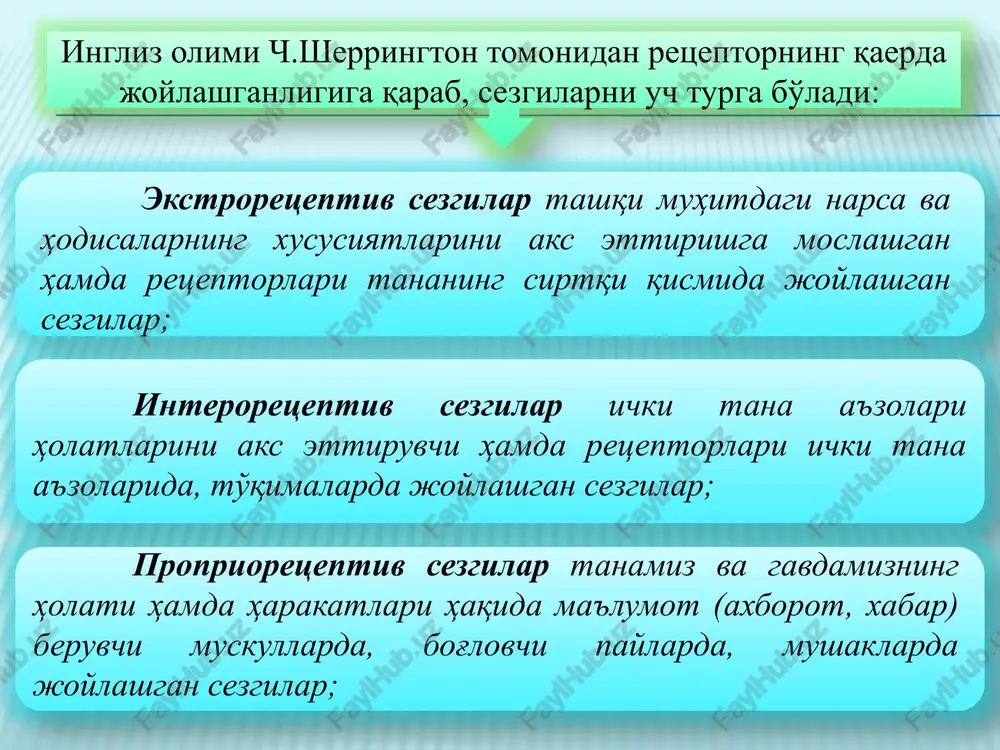 orat turlaridan iborat bo'lib, ularning bunday nomlanishining bosh omili bu retseptorlarning tarkibi va organizmning tashqi shilliq pardalarida joylashganligidadir. tuyish sezgilari ikki xil axborotni qabul qilish imkoniyatiga ega: birinchisi tegish va tarqalishini tuyish sezgilari; ikkinchisi esa silliq yoki g'adir – budurni tuyish bilan tavsiflanadi.. psixologiyada tuyish tanachalari va sezuvchi nervning chekka tarmoqlari zichligi ekstiziometr asbobi yordami bilan o'lchanadi. asbob keriladigan ikki oyoqli tsirkuldan tashkil topgan, bo'lib, uning o'zagidagi darajalar oyoqlarning uchlari o'rtasidagi masofani o'lchaydi. tuyish sezgilarining markazi bosh miya po'stining orqadagi markaziy nuqtasida joylashgan deb taxmin qilinadi. tuyish sezgilarining tashqi, ya'ni fizik sababi bu biron- bir narsalarning teriga bevosita tegishidir. muskul-harakat sezgilari motor sezgilar deb nomlanib, ularga og'irlikni, qarshilikni, organlar harakatini bilish sezgilari kiradi. ularning organlari–gavda muskullari, paylar, bo'g'imlardan iboratdir. organlarning tarkibida sezuvchi nervlarning chekka tarmoqlari mavjud bo'lib, ularning ta'sirida harakat va statik sezgilar vujudga keladi. muskul – harakat sezgilarining fizik sababi muskullarga ta'sir etuvchi narsalarning mexanik tazyiqi va gavda harakatlaridir. …