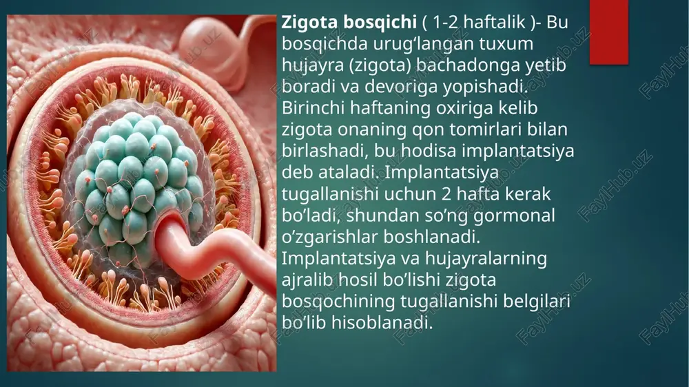 ontogenezning ilkbosqichlari dapsixik rivojlanish xususiyatlari - Page 4