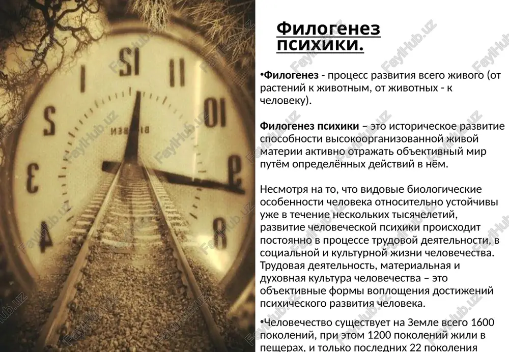 filogeneze razvitie v psixiki - Page 4