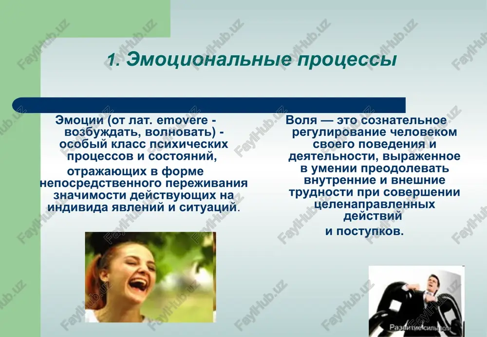 emotsionalno-volevaya sfera lichnosti - Page 4