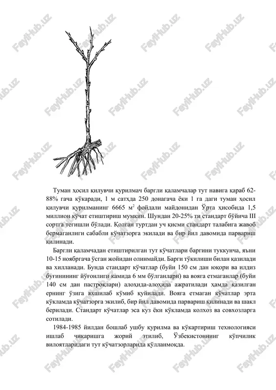 ib, har birining orasida 50-60 sm kenglikda yo'l qoldirildi. qalamcha ekiladigan polosa asosan uchta qatlamdan iborat bo'lib, eng pastkisi bu 20-25 sm qalinlikda mayda shag'aldan tashkil topib, drenaj (nam shimuvchi) vazifasini bajaradi. o'rta qatlami 17-20 sm qalinlikdagi qum va chirigan go'ng aralashmasidan, eng ustkisi esa 4-5 sm qalinlikdagi yirik qumdan iborat. u avtomatik ravishda (rele orkali) ishlaydi. bu usulda bargli qalamchalarni tayyorlash va ekishning eng yaxshi muddati 15 maydan 15 iyulgachadir. qalamchalarning ildiz olishini tezlash tirish maqsadida, ularni ekish oldidan indolil uksus (iuk) kislo- tasining 50 mlg ni suvdagi eritmasiga 12 soat qalamchadan bir o'suv davri davomida etishtirilgan standart ko'chat solib qo'yiladi. so'ngra namlangan qumga 7x5 sm sxemasida ekiladi. xonaning namligi ildiz olgungacha 90-100%, ildiz olgandan keyin 75-85%, harorati +24-27 daraja bo'lishi kerak. namlik avtomatik suv changlatgich yordamida hosil bo'lgandan keyin qalamcha azot, fosfor va kaliy o'g'itlari bilan 3 marta oziqlantiriladi. oxirgi marta o'g'it avgust oyining birinchi yarmida beriladi. qalamchalarni …