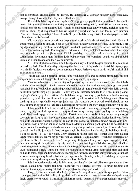 lib, qon tomir, nerv tutamini o`tkazadi. ularning kattaligi 0,5 —1,0 sm bo`lib, ular bolalarda oq chiziq churralari paydo bo`lishi uchun darvoza hisoblanadi. old yonbosh qorin devorining drqa yuzasi yosh bolalarda tekisroq ko`rinadi. qov usti chuqurchasi deyarli bo`lmaydi, o`rta qovuq burmasi taraqqiylashgan bo`lsada, kaltaroqdir. bola tug`ilgandan so`ng ma’lum muddatgacha medisht yonbosh-chov burmalari ostida kindik arteriyalari saklanib qoladi. pastki qorin ust arteriyalari o`tadigan lateral yonbosh-chov burmalari esa bolalarda yaxshi rivojlanmagan. kichik yoshdagi bolalarda odd yonbosh qorin devori qatlamlarida joylashgan qon tomirlar juda bukuluvchan, tez yumshab qoladi va shu sababli kesmalar o`tkazilganda qon ko`p yo`qotilmaydi. 5—7 kunlik chaqaloklarda kindik tushgandan keyin, kindik halqasi chandiq to`qima bilan tortshshb qoladi. kindikni hosil qiladigan qatlamlar chandiq to`qima bilan chatishib ketgan yupqa teri, kindik fassiyasi va pariyetal qorin pardadan iborat. pariyetal qorin parda to`g`ri muskul qini bilan chatishib ketadi. yangi tug`ilgan bolalarda kindik katta yoshdaga bolalarga nisbatan birmuncha pastroq xanjarsimon o`simta bilan qov birikmasining o`rta qismida joylashgan. …