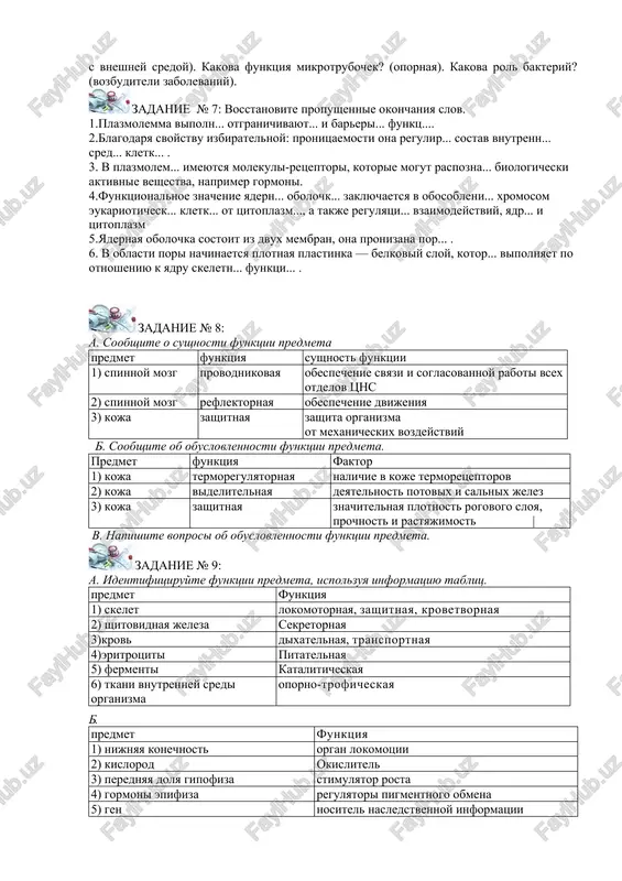 ? (krovetvornaya). b.:da, no krome mexanicheskoy, kosti skeleta vipolnyayut i krovetvornuyu funktsiyu. oblast nosa vipolnyaet funktsiyu obonyaniya? (rezonator). dixatelnaya sistema vipolnyaet funktsiyu gazoobmena? (golosoobrazovanie). tonkaya kishka vipolnyaet funktsiyu mexanicheskoy obrabotki pishi? (vsasivanie). l i pili vipolnyayut regulyatornuyu funktsiyu? (strukturnaya). endoplazmaticheskaya set osushestvlyaet transportnuyu funktsiyu? (koordiniruyushaya). poverxnostniy apparat ktetki vipolnyaet funktsiyu ob'edineniya kletok v tkani? (obmen molekulami mejdu kletkami). funktsiya kompleksa goldji sekretornaya? (obrazovanie lizosom). zadanie № 5: zakonchite predlojenie, nazivaya funktsiyu predmeta. agranulyarnaya eps vipolnyaet .... lizosomi osushestvlyayut .... kletka vipolnyaet .... lipidi deystvuyut kak .... obolochki igrayut rol .... poverxnostniy apparat kletki slujit dlya ... . granulyarnaya eps vipolnyaet funktsiyu .... mitoxondrii yavlyayutsya .... kompleks goldji slujit .... rnk igraet rol .... svodi stopi yavlyayutsya .... rnk slujit... . slova dlya spravok:zashitnaya funktsiya, zashitniki kletki, sintez uglevodov i lipidov, funktsiya retseptora, regulyatori obmena molekulami mejdu kletkami, lizis belkov okislitelyami, xranitel sintezirovannix v eps veshestv, translyator, amortizatori, initsiator sinteza molekul …