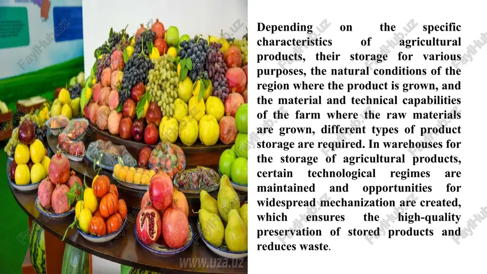 ming inedible. the seeds and peel of overripe cucumbers become dense, and the flesh becomes rough. cucumbers should usually be picked in the morning, before the heat begins. evening cucumbers can be picked throughout the day. they are transported in boxes or special baskets. use of various boxes for transportation and storage of grapes, fruits, berries and vegetables. the storage stability of apples is determined by the nature of their ripening during storage. early ripening varieties of apples can be stored for a short period, and late ripening varieties can be stored for up to 7-8 months. apples are placed in boxes for storage. in this case, apples are best stored if they are wrapped in paper. when apples are placed in boxes, paper or shavings can also be placed between them. boxes with apples are placed on the shelves in a checkerboard pattern of three and in pairs. boxes …