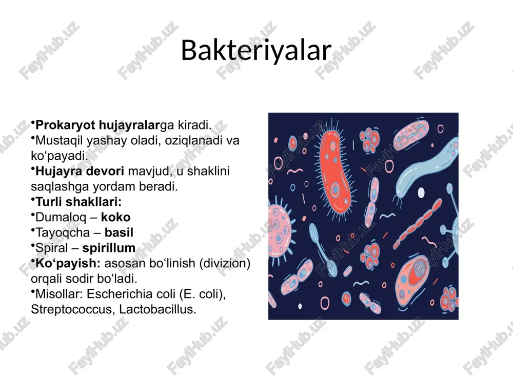 peg image7.jpeg image8.jpeg image9.gif image10.png image11.gif image12.jpeg image13.jpeg image14.jpeg image15.jpeg hand drawn germ and bacteria banner for disease viruses flyers, brochures. colorful flat vector illustration on dark background. /docprops/thumbnail.jpeg