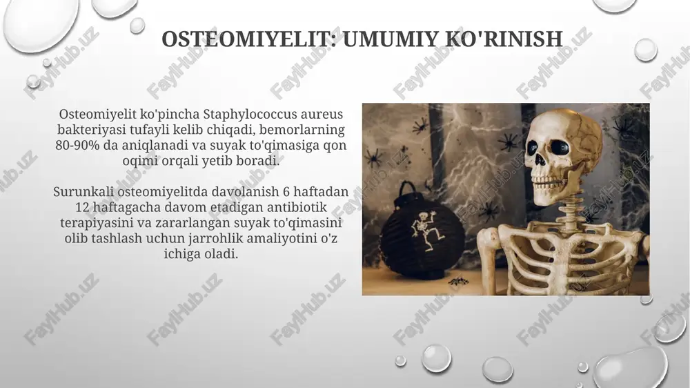 lar va radiologlar, natijada 90% muvaffaqiyat kuzatiladi. e'tiboringiz uchun rahmat image2.png image5.jpg image6.jpg image7.jpg image8.jpg image9.jpg image10.jpg image11.jpg image12.jpg image13.jpg image14.jpg image15.jpg image16.jpg image17.jpg image18.jpg image19.jpg image3.png