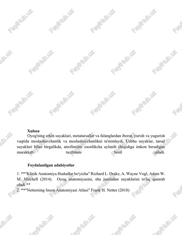 oyoqning erkin suyaklari - Page 4