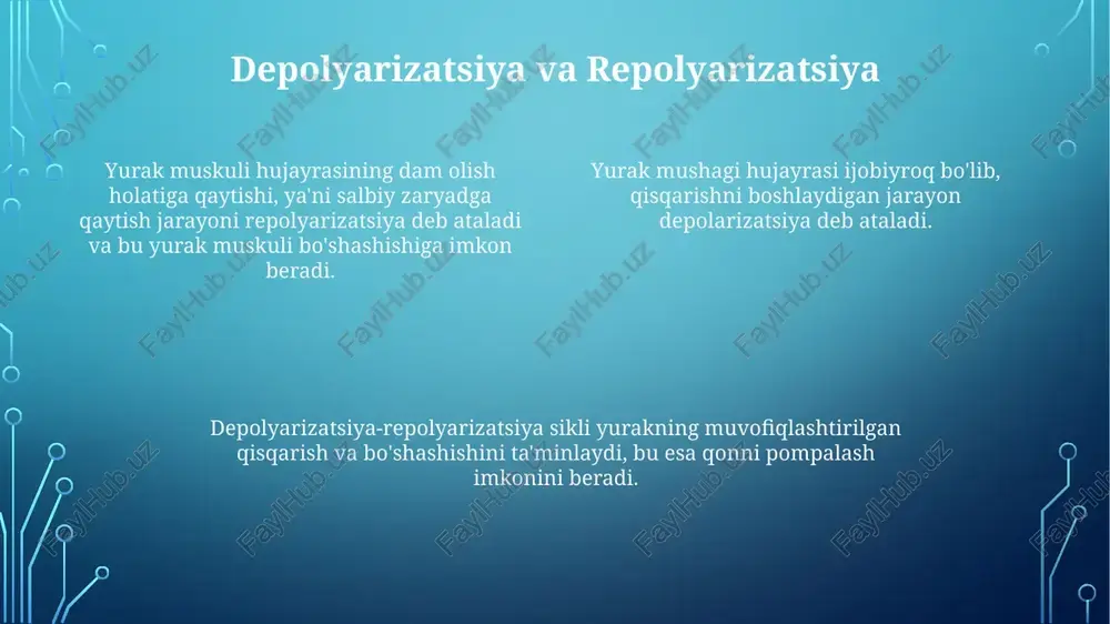 lar tufayli ritmik ravishda qisqaradi. kaltsiyning oqimi sarkoplazmatik retikulumdan ko'proq kaltsiyning chiqarilishini qo'zg'atadi, bu esa muskullar qisqarishiga olib keladigan voqealar kaskadini boshlaydi. qisqarish kuchi yurak muskuli ritmik va avtomatik ravishda qisqaradi. kaltsiy yurak mushaklari qisqarishida muhim rol o'ynaydi. tuzilishning kuchi dam olish holatidagi mushak tolalari uzunligiga bog'liq. sarkomer dinamikasi yurakning o'ziga xos ritm beruvchi hujayralari ritmik qisqarishni boshqaradigan elektr impulslarini hosil qiladi. kaltsiy ionlari miyozinning aktin bilan bog'lanishini qo'zg'atadi va bu xoch-ko'prik tsiklining boshlanishiga olib keladi. qisqarish vaqtida sarkomerlar qisqaradi va bu jarayon slayding filamenti mexanizmi bilan ta'minlanadi. e'tiboringiz uchun rahmat @taqdimot_robot image1.png image2.png image3.png image4.png image5.png