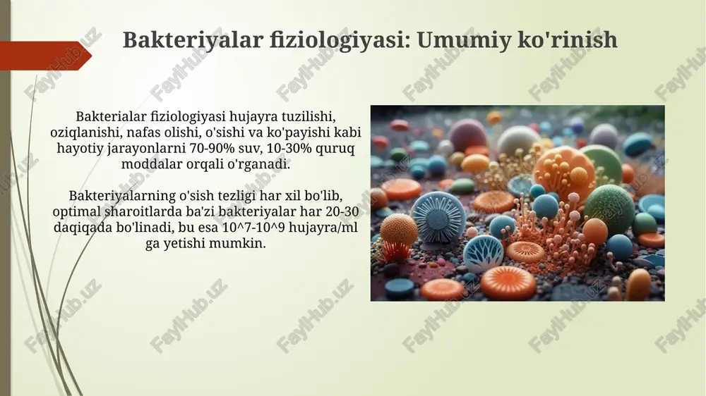 arni namoyon etadi. bakteriyalarning atrof-muhitga moslashuvi bakteriyalar osmotik stressga qarshi kurashadi, masalan, yuqori tuz konsentratsiyasida hujayra ichida 1-2 m konsentratsiyada osmotik moddalar (prolin, betain) to'planishi orqali. termofil bakteriyalar issiqlikka moslashadi, lipid membranalarida to'yingan yog' kislotalari miqdorini oshiradilar, bu membrananing barqarorligini saqlashga yordam beradi 70-80°c da. bakterial hayot faoliyatining tartibga solinishi bakterialarda gen ifodasi oqsillarning transkripsiya tezligini, 16s rrna ni tartibga solish orqali atrof-muhitga moslashishga yordam beradi. bakteriyalarda signal uzatish ikki komponentli tizimlar orqali amalga oshiriladi, bu sensor kinaz va javob regulyatoridan iborat kompleks jarayondir. xulosa xulosa qilib aytganda, bakterial fiziologiya 100 dan ortiq fermentlar ishtirokidagi murakkab metabolik jarayonlarni o'z ichiga oladi, bu esa adaptatsiya imkoniyatini oshiradi. konstruktiv metabolizm, ayniqsa, oziq moddalarni yig'ishga qaratilgan. masalan, azot fiksatsiyasi 78% azot mavjud bo'lgan muhitda muhim ahamiyatga ega. e'tiboringiz uchun rahmat image1.png image2.jpg image3.jpg image4.jpg image5.jpg image6.jpg image7.jpg image8.jpg image9.jpg image10.jpg image11.jpg image12.jpg image13.jpg image14.jpg image15.jpg image16.jpg image17.jpg image18.jpg
