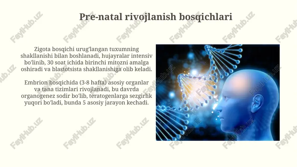 inson antogenezining rivojlanishi - Page 4
