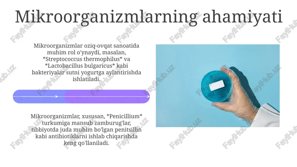 ktatga o'zgartiradi, bu esa 2 atp molekulasini hosil qiladi. achitqilar tomonidan amalga oshiriladigan spirtli fermentatsiya, glyukozani etanol va karbonat angidridga aylantiradi; bu jarayon non pishirish va pivo ishlab chiqarishda muhim ahamiyatga ega. mahsulotni ajratib olish va tozalash tozalash jarayonida ion almashinadigan xromatografiya muhim rol o'ynaydi, bu esa zaryadlangan molekulalarni ajratish imkonini beradi va 90-95% gacha yuqori tozalik darajasiga erishiladi. mikroorganizmlardan mahsulot ajratib olishning dastlabki bosqichi hujayra devorini buzishdir, bunda 0.1-0.5 mm sharchalar bilan mexanik homogenlash usuli qo'llanilishi mumkin. qo'llanilish sohalari mikroorganizmlardan olinadigan muhim moddalar tibbiyotda antibiotiklar (penitsillin, streptomitsin kabi) ishlab chiqarishda keng qo'llaniladi, bu esa infeksion kasalliklarni davolashda muhim ahamiyatga ega. qishloq xo'jaligida mikroorganizmlardan olinadigan moddalar bioo'g'itlar (azotofiksatorlar, fosfat mobilizatorlar) sifatida tuproq unumdorligini oshirish va hosildorlikni ko'paytirish uchun ishlatiladi. xulosa mikroorganizmlardan olinadigan muhim moddalar xulosasi, biotexnologiya sohasida 70% gacha muvaffaqiyatga erishish uchun, ishlab chiqarish jarayonlarini optimallashtirishni talab etadi. xulosa, mikroorganizmlardan olinadigan 1000 dan ortiq turli xil mahsulotlar farmatsevtika, oziq-ovqat sanoati …