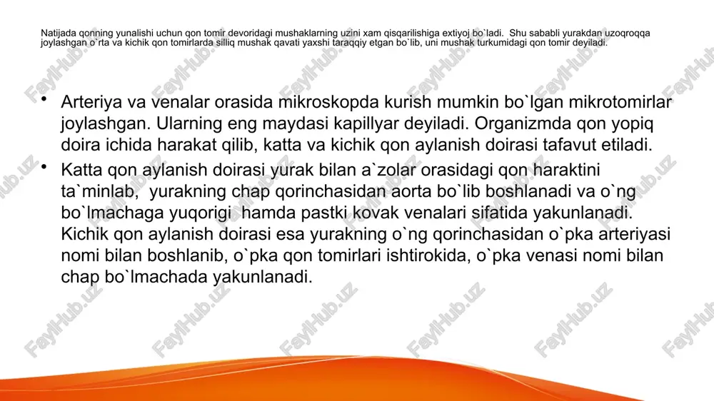 yurak qon tomir sistemasi - Page 4