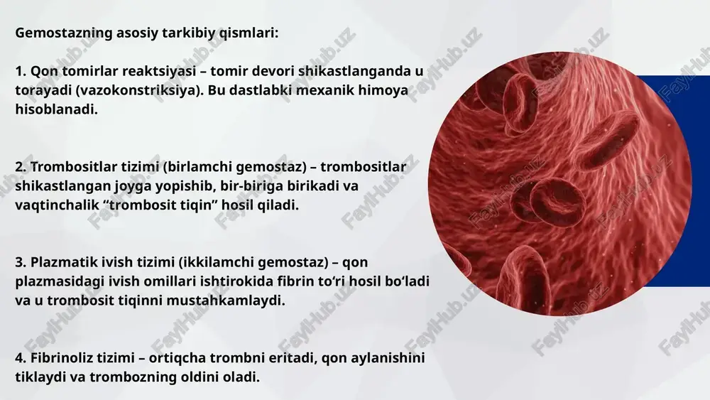 gemostaz va uning turlari - Page 4