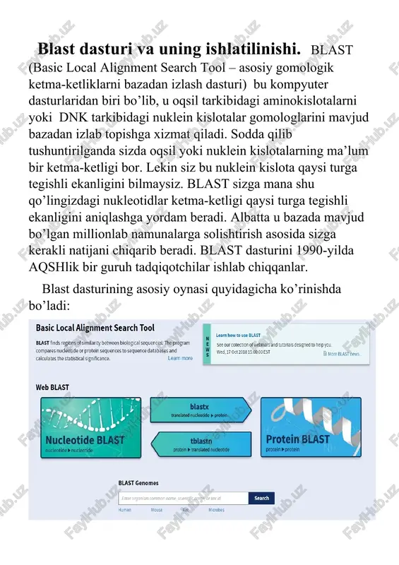 st dasturining asosiy oynasiga kiramiz. bu yerda translatorlar olinishiga kerak bo’ladigan 2ta (blastx va tblastn) bor. blastx- o’rganilgan nukleotidlar ketma-ketligini kodlangan aminokislotalarga aylantiradi va keyin uni oqsillarning aminokislotalar ketma-ketligining mavjud ma’lumotlar bazasi bilan taqqoslaydi. tblastn- o’rganilgan aminokislotalar ketma-ketligi ketma-ket nuklein kislotalar bazasining tarjima qilingan ketma-ketliklari bilan taqqoslaydi. blast dasturida translator olishimiz uchun dastlab (ncbi) milliy biotexnologik axborot markazidan bizga kerak bo’lgan gen to’g’risidagi ma’lumotlarni topib olib, keyin uni blast dasturiga ko’chirib o’tkazishimiz kerak bo’ladi. misol uchun (short finger) kalta barmoqlilik geni haqida qidiruv beramiz. shunda bizda quyidagi oynalar paydo bo’ladi. bu oynada qidirayotgan genimiz orqali nechta va qanday turli xil klinik sinovlar o’tkazilgani haqida va shu genning oqsillari kabi ko’plab ma’lumotlar kelib chiqadi. masalan bu genning 29966 ta oqsili mavjud ekan. shundan so’ng biz nukleotidni bosamiz. chunki bizga nukleotid ketma-ketligi kerak bo’ladi. translator olish uchun avval dnk nukleotidlarini olib, keyin rnk molekulalarining nukleotidlariga aylantirishimiz kerak. shuning uchun biz quyidagi rasmda …
