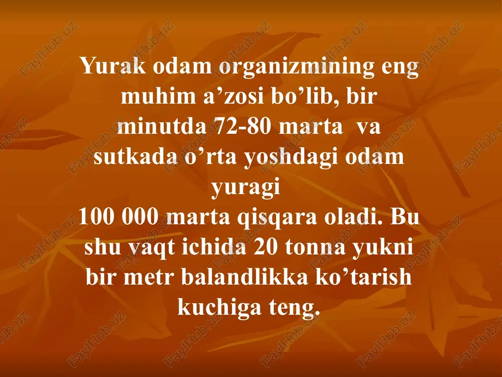 yurak anatomiyasi - Page 4