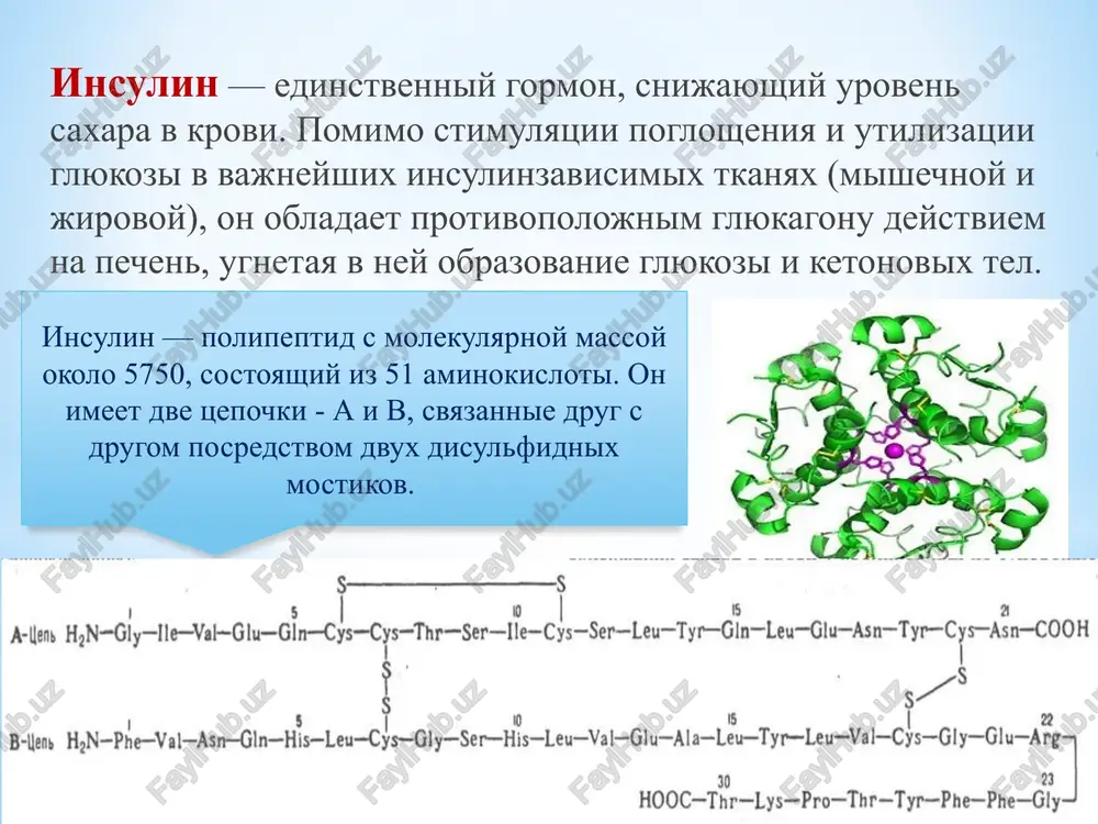 edstvom lecheniya saxarnogo diabeta. spasibo za vnimanie! image1.png image2.png image3.png image4.png image5.png image6.png image7.jpeg image8.jpeg image9.jpeg image10.jpeg image11.jpeg image12.jpeg image13.jpeg image14.jpeg image15.jpeg image16.jpeg image17.jpeg image18.jpeg image19.jpeg image20.jpeg image21.png image22.jpeg image23.jpeg image24.jpeg image25.jpeg image26.jpeg image27.jpeg image28.png 98891720