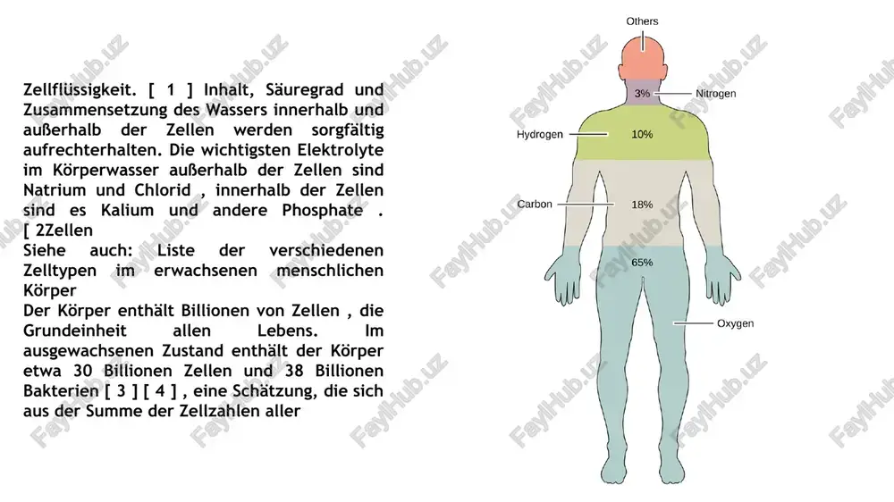 der menschliche körper - Page 4