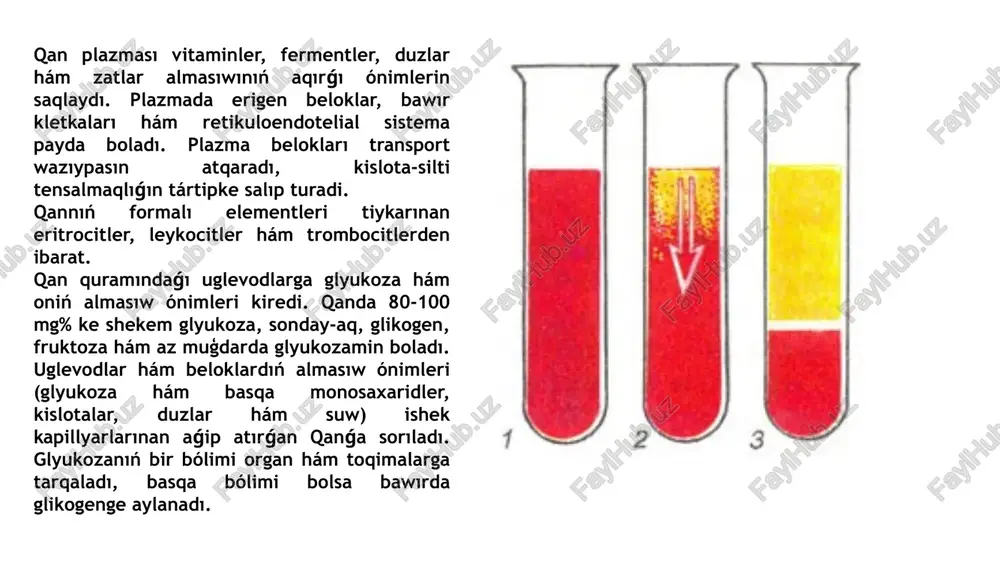uramında belok, maylar, uglevodlar, mineral duzlar, gormonlar, fermentler, antitelalar hám yeritilgen haldaǵı gazlar (kislorod, karbonat angidrid sıyaqlılar) boladı. 1901-jılı avstriyalı alım k. landshteyner, 1907-jılı chex alımı ya. yanskiy túrli adamlar qanınıń ximiyalıq-biologiyalıq qásiyetleri boyinsha bir-birinen parıq qılıwın anıqlagan. qannıń eritrocitleri quramında agglyutinogen, plazması quramında agglyutinin zatlar bolıp, olardıń hár biri ximiyalıq qásiyetlerine qarap yeki túrge bólinedi, yaǵnıy agglyutinogen a hám b, agglyutinin a hám {3. sonıń ushın bir adamnıń qaninıń eritrocitleri hám plazmasında bir xii belgige iye zat bolmawı kerek, yaǵnıy agglyutinogen a hám agglyutinin a yamasa agglyutinogen b hám agglyutinin {3. normada agglyutinogen a hám agglyutinin {3 yamasa agglyutinogen b hám agglyutinin a bolıwı múmkin. agglyutinogen a hám v bolǵan qanda agglyutininler uliwma bolmaydi. kerisinshe, agglyutinin hám 3 bolǵan qanda agglyutinogenler uliwma bolmaydi. mine, usıǵan muwapıq, barlıq adamlar qanı tórt toparǵa bólinedi. i topar - eritrocitlerde agglyutinogen uliwma bolmaydı, plazmada agglyutinin hám 3 bar. ii topar - eritrocitlerde agglyutinogen …