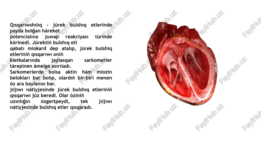 glyutinogen a hám agglyutinin a yamasa agglyutinogen b hám agglyutinin {3. normada agglyutinogen a hám agglyutinin {3 yamasa agglyutinogen b hám agglyutinin a bolıwı múmkin. qan plazmasında beloktan basqa azotlı birikpeler: beloklardıń gidrolizi nátiyjesinde payda bolǵan as sińiriw traktinan sorılatuǵın hám protoplazma beloklarınıń sintezleniwi ushın kletkalar paydalanılatuǵın dárilik zatlar (aminokislotalar, polipeptidler) hám beloklardıń tarqalıwı nátiyjesinde payda bolıp, organizmnen shıǵarıp taslanatuǵın dárilik zatlar (mochevina, sidik kislotası, kreatinin, amyak) bar. plazmadaģı qaldıq azot dep atalatuģın belok emes azottıń uliwma muģdarı 30-40 mg % ti quraydı. onıń yarımı mochevinaǵa tuwra keledi. búyrekler jeterli islemegende qan plazmasında qaldıq azot júdá kóbeyip ketedi. qan plazmasında azotsız organikalıq zatlar: organizm kletkaları ushın tiykarǵı energiya deregi glyukoza (80-120 mg % yamasa 3,3-5,5 mmol/1) hám organizm kletkalarınıń xızmeti nátiyjesinde payda bolǵan hár túrli organikalıq kislotalar, sút kislotası da bar. qan plazmasında mineral zatlar derlik 0,9% ti quraydı. olardıń quramı tiykarınan na+, k+, ca++ kationları hám anionlarınan (c1-, hco-3, …