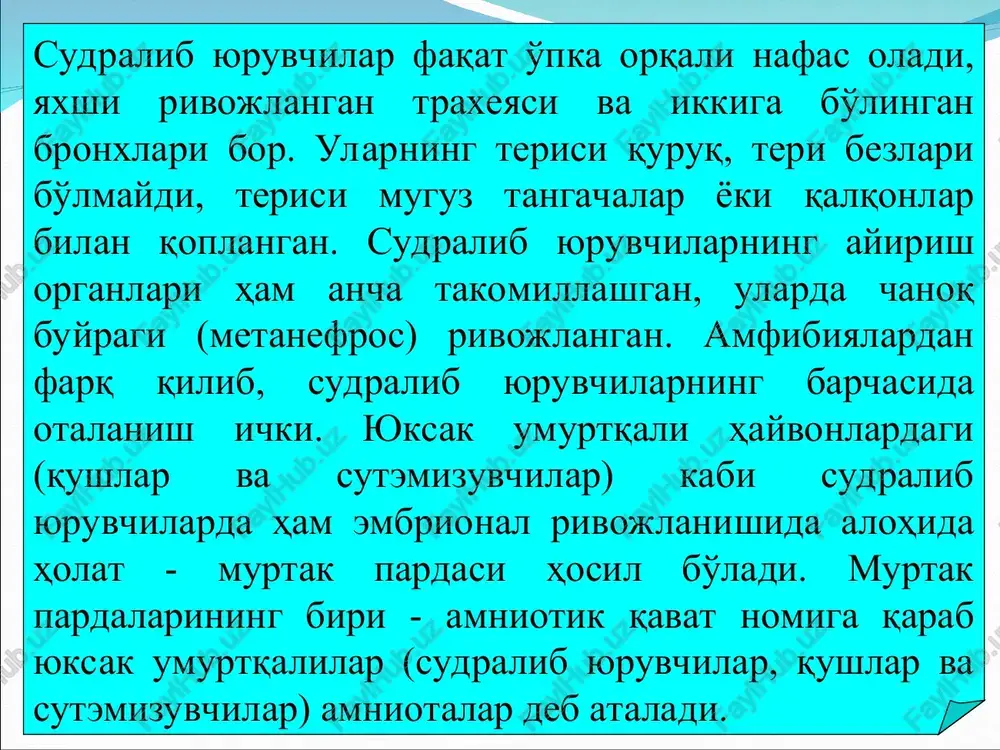 : sudralib yuruvchilarning o'q skeleti yoki umurtqa pog'onasining qismlari suvda hamda quruqlikda yashovchilarnikiga nisbatan harakatchan va to'rtta bo'limga: bo'yin, ko'krak-bel, dumg'aza va dumga bo'linadi. umurtqalar tanasining old tomoni botiq, orqa tomoni bo'rtib chiqqan, ya'ni protsel tipda bo'ladi. tuban sudralib yuruvchilarda (agamalar, gekkonlar) esa umurtqalari tanasi amfitsel tipda bo'ladi. umurtqalarning yuqori tomonidan ustki yoylar chiqadi, bu yoylar aniq ajralib turadigan qiltanoq ostist o'simta bilan tugaydi. umurtqa pog'onasi kaltakesaklarning bo'yin qismida umurtqalar soni 8 ta. bulardan oldingi ikkitasi o'ziga xos tuzilgan. atlas yoki atlant deb ataladigan birinchi bo'yin umurtqasi barcha amniotalar uchun xarakterli halqa shaklida bo'ladi. old tomonning pastki qismida bitta bo'g'im yuzasi bo'lib, umurtqa shu yuza yordami bilan bosh skeletga harakatchan tarzda ensa bo'rtmasi orqali birikadi. atlas o'rtasidagi teshik pay bilan ikkiga pastki va ustki bo'limlarga bo'lingan. ustki teshikdan orqa miya o'tsa, pastki teshikka tishsimon o'simta kiradi, bu o'simta epistrofey deb ataladigan ikkinchi umurtqaga birikkan. sudralib yuruvchilarda bo'yin umurtqalarining soni 7 …