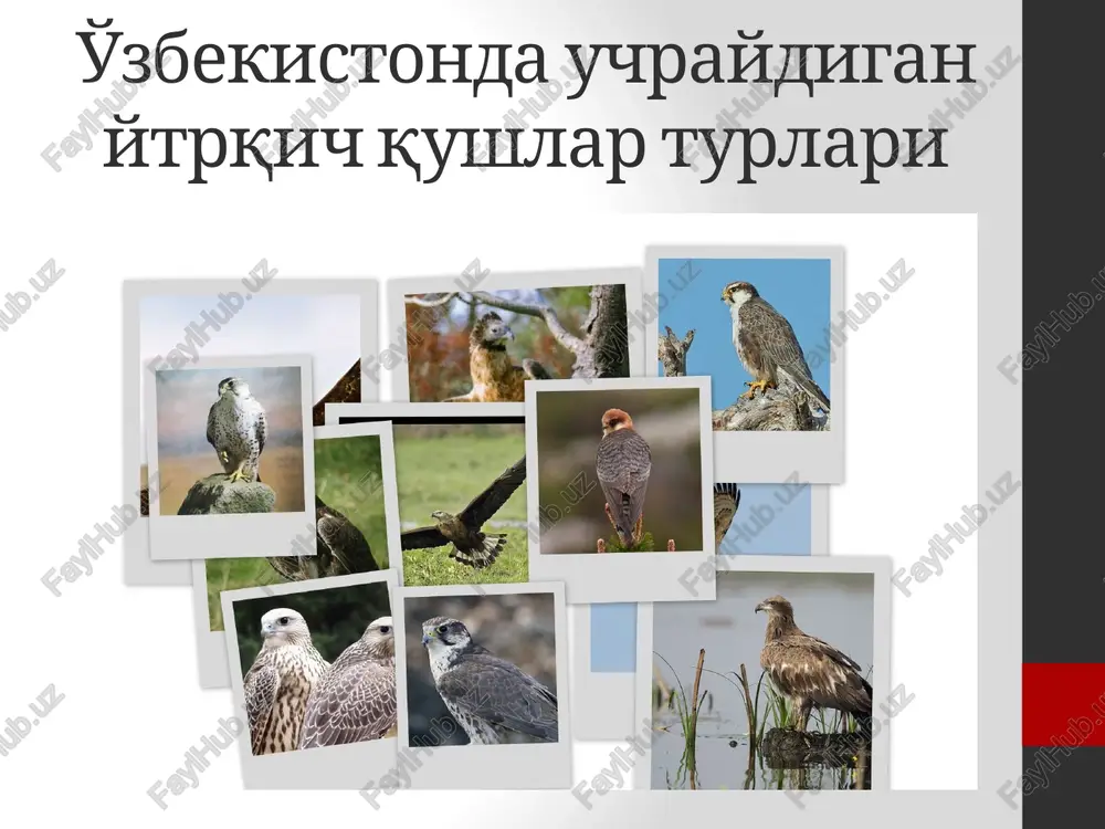 age21.png image22.png image23.png image24.png image25.png image26.png image27.png image28.png image29.png image30.jpeg image31.png image32.png image33.jpeg image34.png image35.png image36.png image37.jpeg image38.jpeg image39.png image40.png image41.png image42.png image43.png image44.png /docprops/thumbnail.jpeg