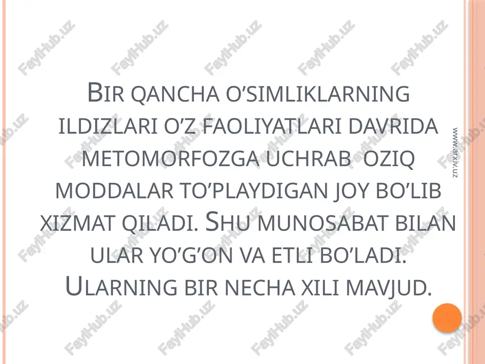 ildizmetomorfozivauninganatomiktuzilishi - Page 4
