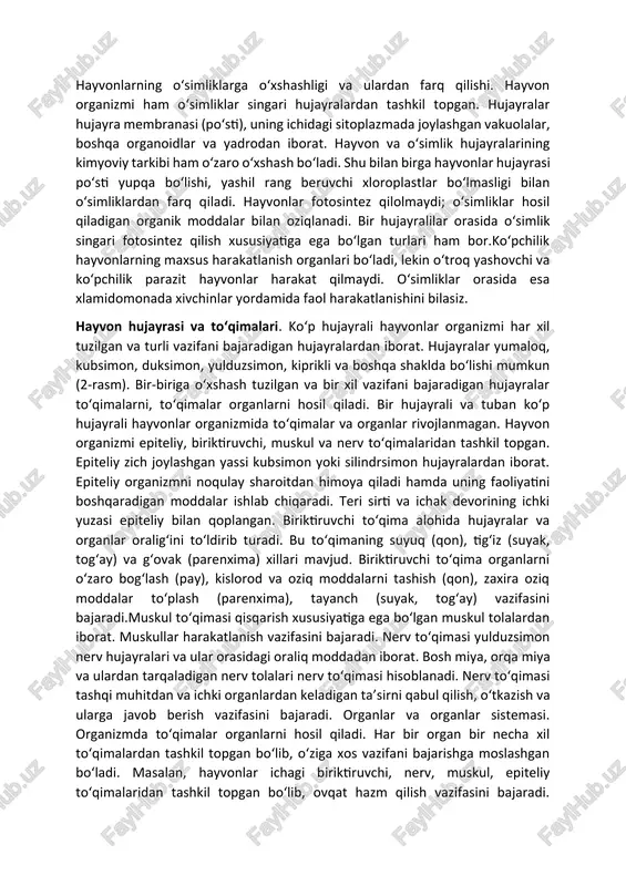 bilan birga hayvonlar hujayrasi po‘sti yupqa bo‘lishi, yashil rang beruvchi xloroplastlar bo‘lmasligi bilan o‘simliklardan farq qiladi. hayvonlar fotosintez qilolmaydi; o‘simliklar hosil qiladigan organik moddalar bilan oziqlanadi. bir hujayralilar orasida o‘simlik singari fotosintez qilish xususiyatiga ega bo‘lgan turlari ham bor.ko‘pchilik hayvonlarning maxsus harakatlanish organlari bo‘ladi, lekin o‘troq yashovchi va ko‘pchilik parazit hayvonlar harakat qilmaydi. o‘simliklar orasida esa xlamidomonada xivchinlar yordamida faol harakatlanishini bilasiz. hayvon hujayrasi va to‘qimalari. ko‘p hujayrali hayvonlar organizmi har xil tuzilgan va turli vazifani bajaradigan hujayralardan iborat. hujayralar yumaloq, kubsimon, duksimon, yulduzsimon, kiprikli va boshqa shaklda bo‘lishi mumkun (2-rasm). bir-biriga o‘xshash tuzilgan va bir xil vazifani bajaradigan hujayralar to‘qimalarni, to‘qimalar organlarni hosil qiladi. bir hujayrali va tuban ko‘p hujayrali hayvonlar organizmida to‘qimalar va organlar rivojlanmagan. hayvon organizmi epiteliy, biriktiruvchi, muskul va nerv to‘qimalaridan tashkil topgan. epiteliy zich joylashgan yassi kubsimon yoki silindrsimon hujayralardan iborat. epiteliy organizmni noqulay sharoitdan himoya qiladi hamda uning faoliyatini boshqaradigan moddalar ishlab chiqaradi. teri …