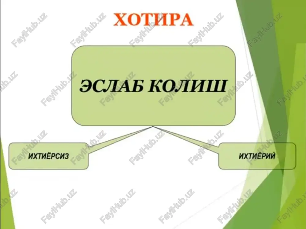xotupa - Page 4