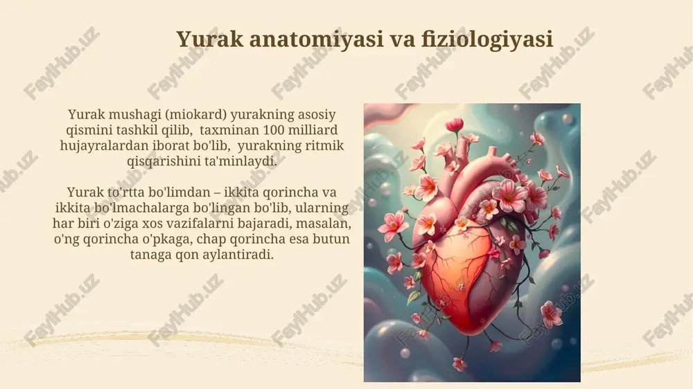 yurak-qon tomirlar tizimi - Page 4