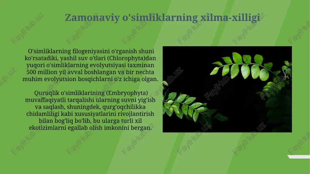 rning ekologik moslashuvi quruqlikdagi o‘simliklarning 400 milliondan ortiq yil davomida o‘ziga xos morfologik tuzilmalar, masalan, kutikula va stomalarni shakllantirish orqali suv yo‘qotishini kamaytirishga moslashuvi. o‘simliklarning turli xil tuproq sharoitlariga moslashuvi, jumladan, 7 dan ortiq ph darajasiga chidamli bo‘lgan turli xil ildiz tizimlari va tuzlarga bardoshli mexanizmlarning paydo bo‘lishi. fotosintezning evolyutsiyasi fotosintezning c4 yo'li, c3 yo'liga nisbatan samaradorligi yuqori bo'lib, issiq va qurg'oqchil iqlim sharoitida o'simliklarning 20% gacha efikasiyini oshiradi. fotosintezning evolyutsiyasi dastlabki suv o'tlari tomonidan 3,5 milliard yil avval paydo bo'lgan va suvdan kislorodning ajralib chiqishiga olib kelgan. o'simliklarning genetik xilma-xilligi fotosintezning c3, c4 va cam kabi turli yoʻllari oʻsimliklarning genetik xilma-xilligining muhim omili hisoblanadi va har xil iqlim sharoitiga moslashishga yordam beradi. oʻsimliklarning genetik xilma-xilligi, taxminan 350 000 ga yaqin turini oʻz ichiga oladi, bu ularning turli muhit sharoitlariga moslashuvchanligini koʻrsatadi. quruqlik sharoitiga moslashish oʻsimliklarning quruqlikda oʻsishi uchun 100 dan ortiq gen oilasining evolyutsion oʻzgarishlari, jumladan, suvni oʻzlashtirish va …