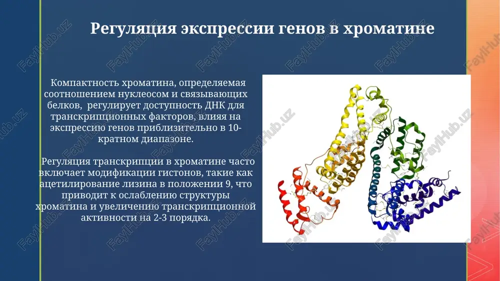 lojeni uchastki linkernoy dnk, dlina kotorix variruetsya ot 20 do 80 par osnovaniy, i giston h1, stabiliziruyushiy strukturu. funktsii rnk v neyronax trnk, nesushie spetsificheskie aminokisloti, kriticheski vajni dlya tochnogo sinteza belkov v ribosomax neyronov, obespechivaya tochnost neyronalnoy aktivnosti. nekodiruyushie rnk, takie kak mikrornk (mirna), reguliruyut ekspressiyu genov, vliyaya na bolee chem 60% kletochnix protsessov, vklyuchaya razvitie i funktsii neyronov. struktura dnk nervnoy tkani v neyronax obnarujeno znachitelnoe kolichestvo povrejdeniy dnk, v srednem okolo 1000 odnotsepochechnix razrivov na genom, chto trebuet effektivnoy sistemi reparatsii dnk. metilirovanie dnk v nervnoy tkani igraet kriticheskuyu rol v epigeneticheskoy regulyatsii, vklyuchaya okolo 28% cpg-ostrovkov, vliyaya na razvitie i funktsionirovanie neyronov. xromatin i neyrodegenerativnie zabolevaniya izmeneniya v strukture xromatina, takie kak gipermetilirovanie dnk v promotornix oblastyax genov, vovlechennix v neyroprotektsiyu, nablyudayutsya pri bolezni altsgeymera bolee chem u 70% patsientov. defekti v remodelirovanii xromatina, oposredovannie faktorami, takimi kak swi/snf kompleksi, sposobstvuyut razvitiyu neyrodegeneratsii, snijaya effektivnost reparatsii …