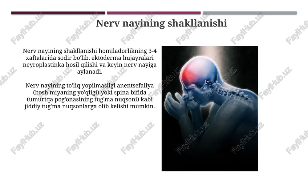 bosh miya va orqa miya tug‘ma rivojlanish nuqsonlari - Page 4