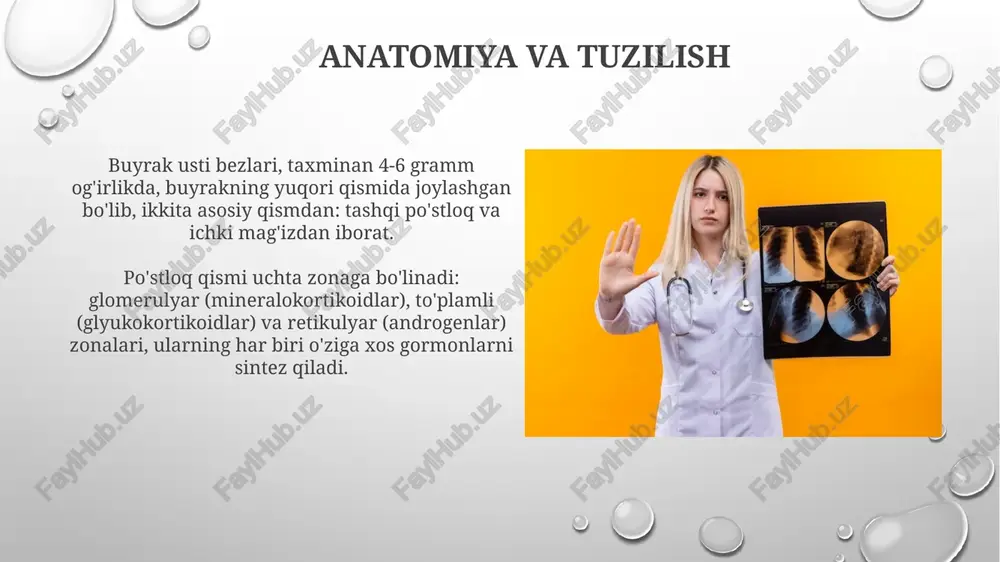 izm (ortiqcha tuklar) va hayz koʻrish siklining buzilishiga olib kelishi mumkin. buyrak usti bezlari saratoni buyrak usti bezi saratonining kam uchraydigan turi, adrenokortikal karsinoma (acc), koʻpincha 40 yoshdan 50 yoshgacha boʻlgan odamlarda aniqlanadi, ammo har qanday yoshda ham paydo boʻlishi mumkin. ko'p hollarda, buyrak usti bezi saratoni o'smalari gormonlarni ishlab chiqaradi, bu esa erkaklarda erta pubertat yoki ayollarda chuqur ovoz kabi alomatlarga olib kelishi mumkin bo'lgan gormonal nomutanosibliklarni keltirib chiqaradi. diagnostika va testlar adrenal bez kasalliklarini tashxislash uchun siydikda erkin kortizol darajasini o'lchash muhim, odatda 24 soatlik siydik namunasi yordamida 3-100 mkg/kun normal qiymatlari o'rnatiladi. aktga javob testlari gipofiz bezining stimulyatsiyasiga kortizolning 15-20 mkg/dl dan oshishini aniqlaydi, bu adrenal etishmovchiligini baholash uchun 30-60 daqiqa ichida amalga oshiriladi. xulosa va asosiy xulosalar adrenal bezlar hayotiy gormonlarni, masalan, kortizol va aldosteronni ishlab chiqaradi, ular metabolizm va qon bosimini tartibga solishda 2 asosiy rolni bajaradi. stress holatida adrenal bezlar adrenalinni chiqaradi, bu yurak …