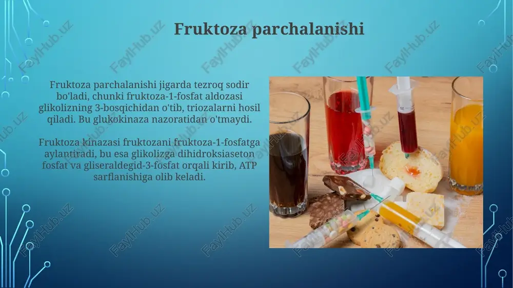 pinefrin kabi gormonlar glikogenolizni faollashtiradi, ular g oqsil bog'langan retseptorlari orqali adenilat siklazni stimullaydi va camp darajasini oshiradi. jigar hujayralarida glikogen fosforilaza fermenti glikogendan glyukoza-1-fosfat ajratishni katalizlaydi, bu esa glikogen zanjirini qisqartiradi va glyukoza darajasini oshirishga yordam beradi. glyukoza homeostazining buzilishi: diabet qandli diabetda glukoza gomeostazining buzilishi giperglikemiyaga olib keladi, bunda qonda glukoza darajasi 7.0 mmol/l dan oshib ketadi va bu uzoq muddatli asoratlarni keltirib chiqaradi. 1-toifa diabetda immunitet tizimi beta hujayralarini yo'q qiladi, natijada insulin ishlab chiqarilishi to'xtaydi va glukoza miqdori nazoratdan chiqib, 11.1 mmol/l dan oshishi mumkin. xulosa fruktoza va galaktoza almashinuvidagi xulosa shundan iboratki, geksokinaza fermentining km qiymati glyukozaga nisbatan yuqori bo'lganligi sababli metabolizm sekinroq kechadi. glyukoza gomeostazini tartibga solishdagi xulosa shuki, insulin qonda glyukoza miqdorini kamaytiradi, glyukagon esa qonda glyukoza miqdorini oshiradi, bu birgalikda muvozanatni ta'minlaydi. e'tiboringiz uchun rahmat image3.png image4.jpg image5.jpg image6.jpg image7.jpg image8.jpg image9.jpg image10.jpg image11.jpg image12.jpg image13.jpg image14.jpg image15.jpg image16.jpg image17.jpg image18.jpg image19.jpg …
