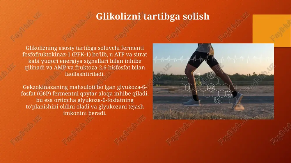 energiya almashinuvi boshqarilishi - Page 4