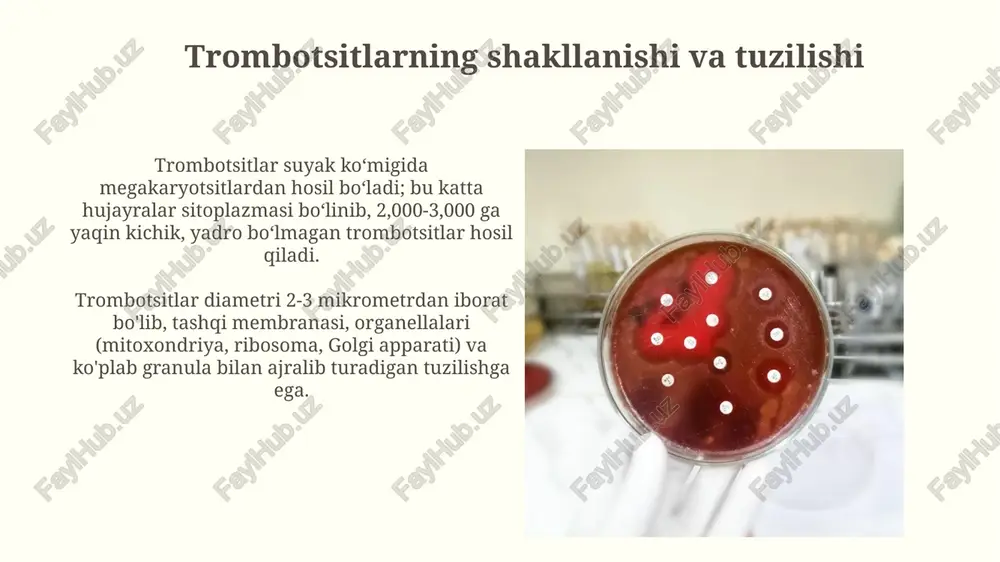trombotsitlar. qon guruhlari va rezus omil - Page 4