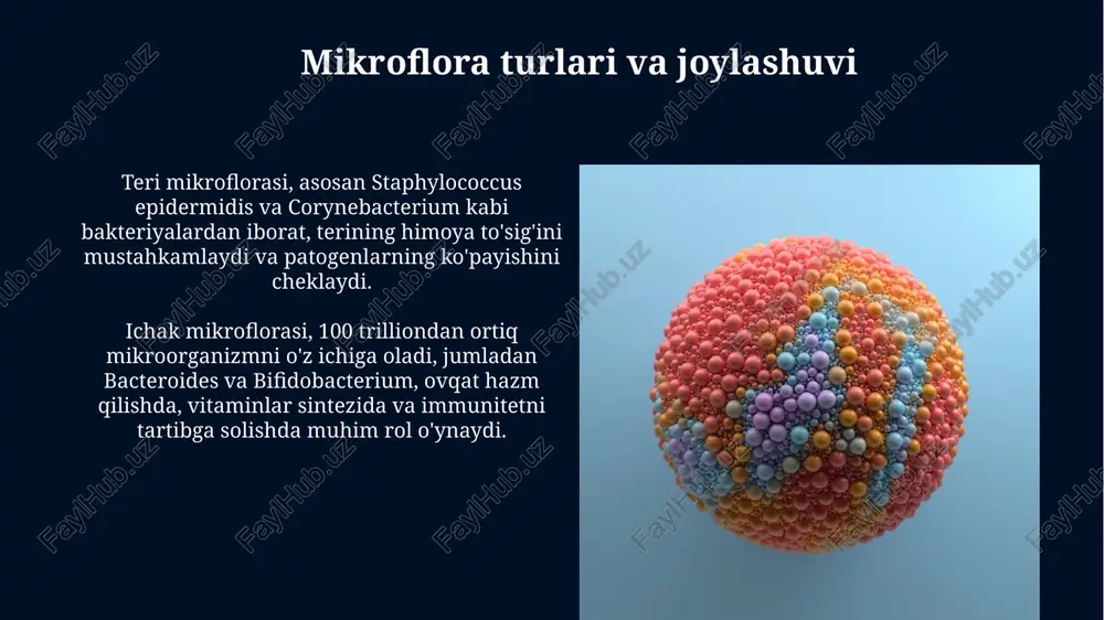 ng noto'g'ri o'sishiga sabab bo'lishi va disbakteriozni keltirib chiqarishi mumkin. disbakteriozning oqibatlari disbakterioz natijasida vitaminlar, ayniqsa k va b guruh vitaminlari sintezi buzilishi mumkin, bu esa qon ivishining pasayishi va nevrologik muammolarni keltirib chiqarishi mumkin. disbakterioz oqibatida patogen mikroorganizmlar ko'payishi osonlashadi, natijada ichak infektsiyalari, masalan, clostridium difficile infektsiyasi rivojlanish xavfi ortadi. mikroflorani tiklash usullari prebiotiklar bilan ovqatlanish mikroflorani tiklashda muhim rol o'ynaydi, chunki ular foydali bakteriyalarning o'sishini rag'batlantiradigan hazm bo'lmaydigan birikmalar (masalan, inulin va oligofruktoza)dir. probiotik qo'shimchalar foydali mikroorganizmlarni to'g'ridan-to'g'ri kiritish orqali mikroflorani muvozanatlashga yordam beradi, ayniqsa antibiotiklardan keyin yoki ovqat hazm qilish buzilishlari bo'lganda samarali hisoblanadi. xulosa normal mikroflora inson organizmida 10^14 ta mikroorganizm bo‘lib, bu inson hujayralari sonidan 10 barobar ko‘pdir. bu simbiyotik munosabatlar immunitetni rivojlantirishda muhim rol o‘ynaydi. bolalarda mikrofloraninig shakllanishi tug'ilgandan keyin boshlanadi va 2-3 yoshgacha davom etadi, bunda bakteriyalar (masalan, *bifidobacterium* va *lactobacillus*) asosiy hissa qo'shadi. e'tiboringiz uchun rahmat image6.jpg image7.jpg image8.jpg image9.jpg image10.jpg image11.jpg …