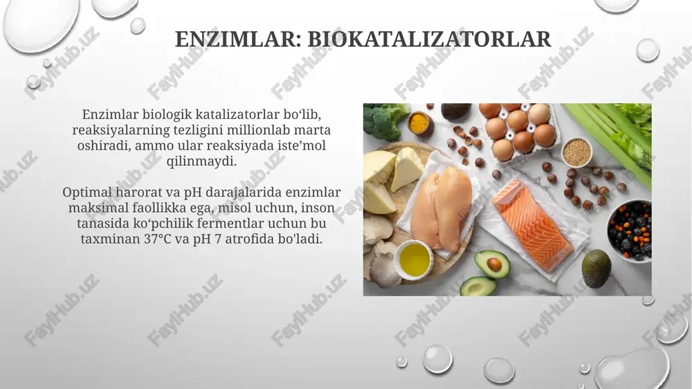 oqlarning va terining tashqi qatlamining muhim tarkibiy qismi bo'lib, ularni tashqi ta'sirlardan himoya qiladi. u suvda erimaydi va kuchli strukturaviy xususiyatlarga ega. oqsillarning gormonal regulyatsiya gormonal regulyatsiyada oqsillar, masalan, insulin 51 aminokislota qoldig'idan tashkil topgan bo'lib, qondagi glyukoza miqdorini nazorat qiladi va hujayralar tomonidan so'rilishini ta'minlaydi. oqsillar gormonlarning sintezida ishtirok etadi, tireoglobulin esa qalqonsimon bezda tiroksin (t4) va triiodotironin (t3) gormonlarining prekursoridir va yod bilan bog'lanishini ta'minlaydi. oqsillarning hujayra signalizatsiyasidagi roli oqsillar hujayra yuzasida joylashgan retseptorlar orqali signallarni qabul qiladi, masalan, g protein bilan bog'langan retseptorlar, turli xil hujayra javoblarini qo'zg'atadi. kinazalar kabi oqsillar fosfat guruhlarini boshqa oqsillarga o'tkazib, 100 dan ortiq downstream oqsillarni faollashtirishi yoki o'chirish orqali signalizatsiya kaskadlarini boshlaydi. oqsillarning boshqa vazifalari va xulosalar oqsillar 37 trillion hujayradagi metabolik jarayonlarni katalizlashda, masalan, fermentlar orqali kimyoviy reaksiyalarni tezlashtirishda muhim rol o'ynaydi. ba'zi oqsillar, masalan, immunoglobulinlar (antitelolar), organizmni bakteriyalar va viruslar kabi begona moddalardan himoya qiladi, immunitet tizimini qo'llab-quvvatlaydi. e'tiboringiz …